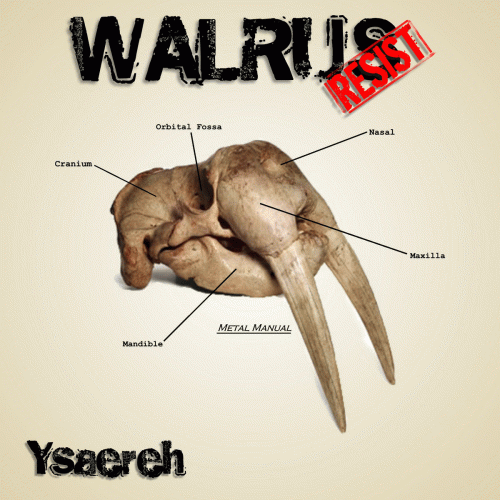 Walrus Resist : Ysaereh